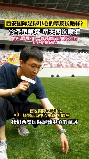 西安国际足球运营主管:草皮国外进口&冷季型草,达国际A级标准
